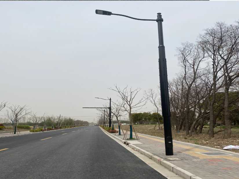 嘉义县上海综合杆 太阳能路灯工程